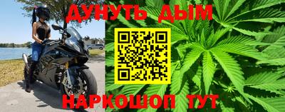 крисы Гусев