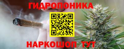 крисы Гусев