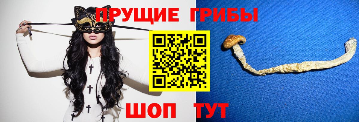 Псилоцибиновые грибы MAGIC MUSHROOMS Армавир
