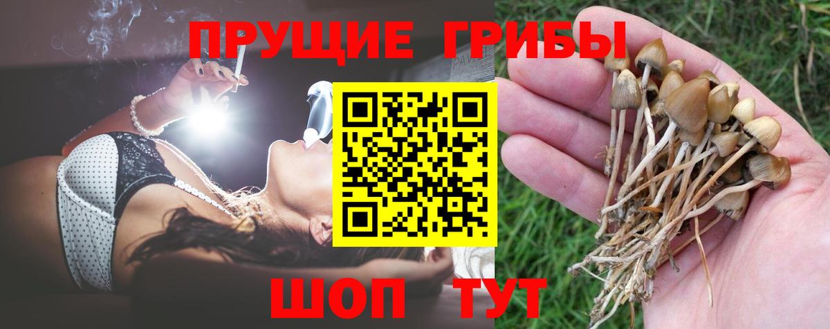 Псилоцибиновые грибы ЛСД  Вход с VPN  Армавир 